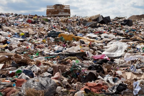 Professional waste clearance team at work in Ealing